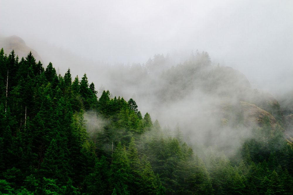 Nainital Hills